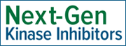 Next-Gen Kinase Inhibitors 2013