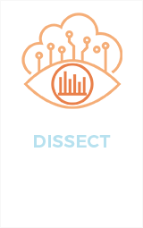 DISSECT the Hypde of AI and Translate for your Needs
