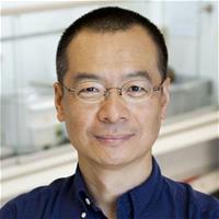 Photo of Sunny Zhou, PhD, Professor, Chemistry & Chemical Biology, Northeastern University