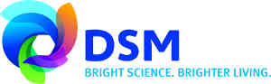 DSM