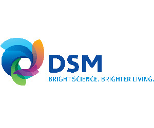 DSM