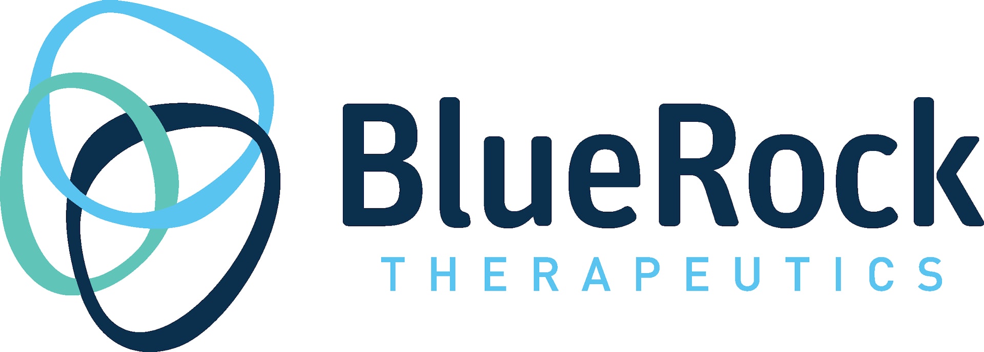 BlueRock Therapeutics
